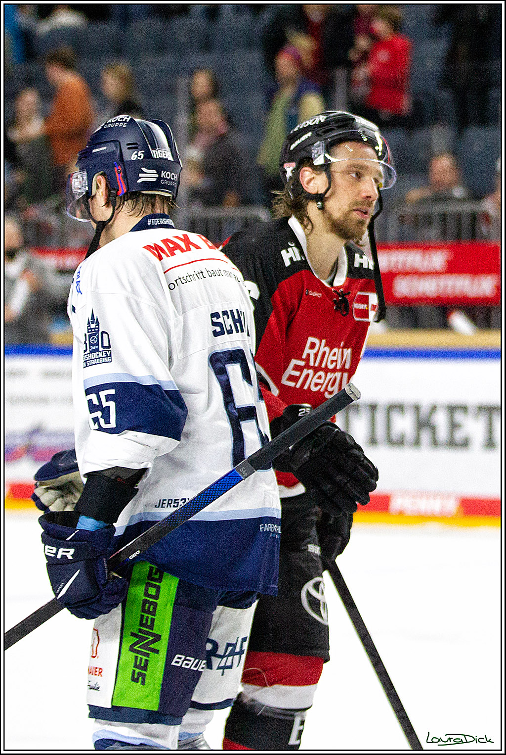 PENNY DEL;  Koelner Haie - Straubing Tigers; Koeln, 15.10.2021